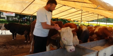 Ülke genelinde tüm hayvan pazarları kapatıldı