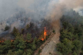 Sakarya’da yangın 45 saattir sürüyor: Alevler zaman zaman yeniden yükseliyor