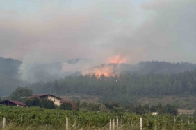 Sakarya’da orman yangınına 8 helikopter, 5 uçak müdahale ediyor
