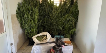 Balıkesir’de jandarmadan 9 ilçede uyuşturucu operasyonu: 15 gözaltı