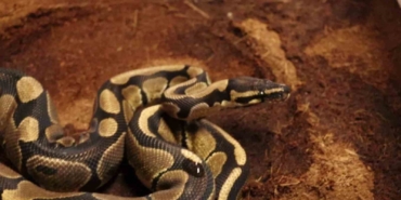 Sakarya’da 6 ayda bin 220 şüpheli yakalandı, 141’i tutuklandı