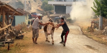 Sakarya’daki orman yangınına müdahale sürüyor: Bir mahalle tahliye ediliyor