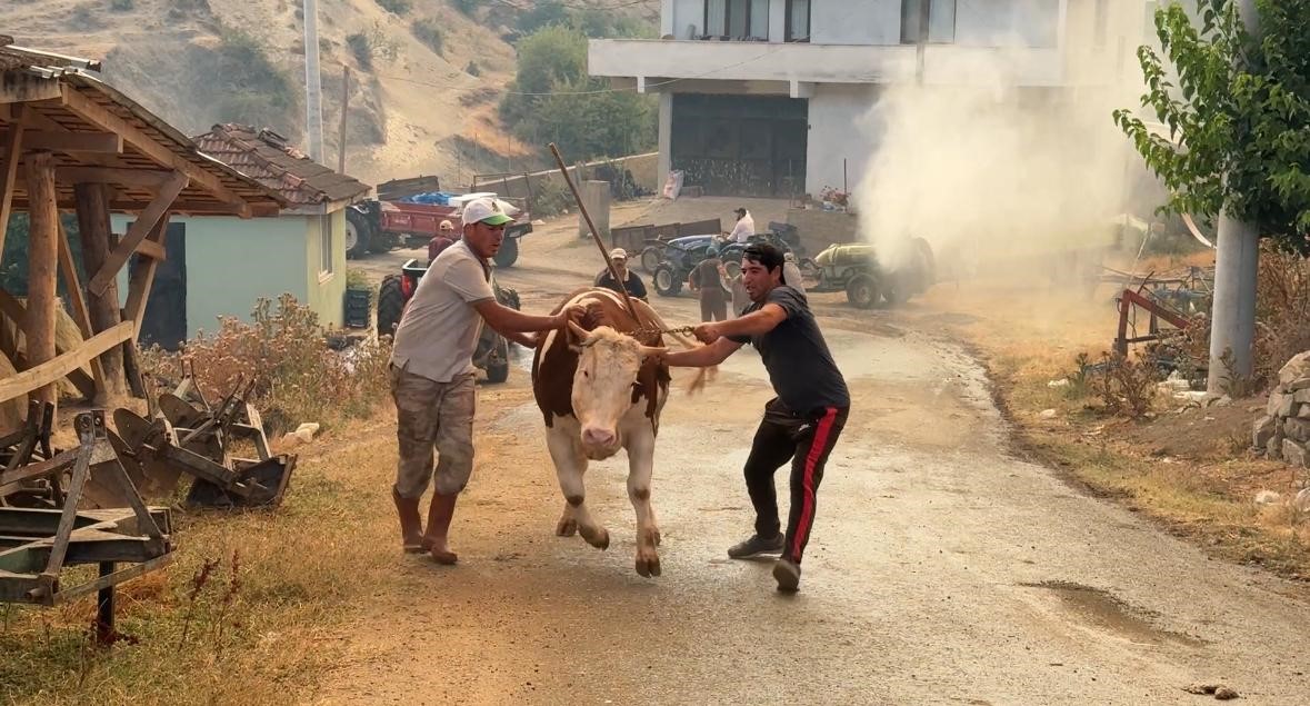 Sakarya’daki orman yangınına müdahale sürüyor: Bir mahalle tahliye ediliyor