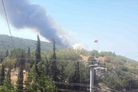 Bilecik’te alevler tavuk çiftliklerine dayandı