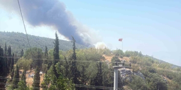 Bilecik’te alevler tavuk çiftliklerine dayandı