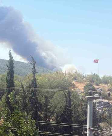 Bilecik’te alevler tavuk çiftliklerine dayandı