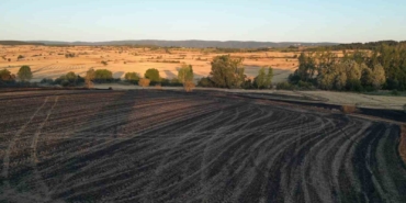 Tekirdağ’da 2 bin 500 dönüm ekili alan ve 200 adet arı kovanı yandı