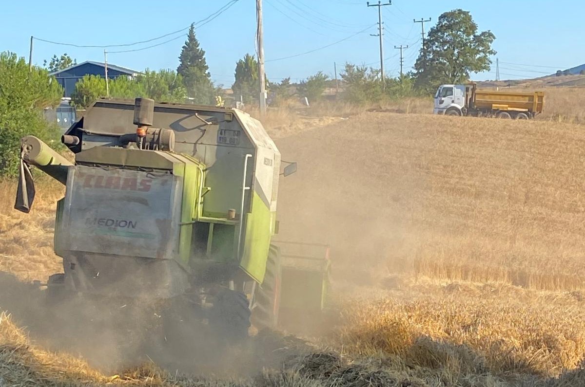 Belediyenin tarlasından ihtiyaç sahiplerinin sofrasına