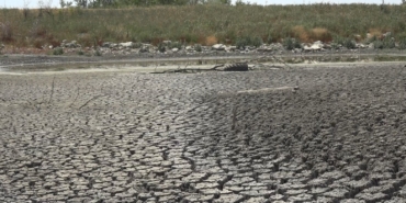 Aşırı sıcaktan kuruyan gölette balıklar telef oldu