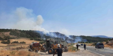 Bilecik’te yeni orman yangını