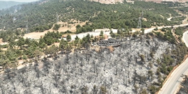 Tarihinin en büyük Gürsu yangınından yürek burkan bu manzaralar kaldı