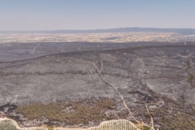 Yangında tahribatın boyutu havadan görüntülendi: Dev alanlar kül oldu