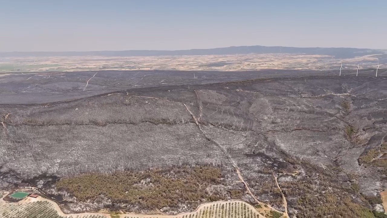 Yangında tahribatın boyutu havadan görüntülendi: Dev alanlar kül oldu