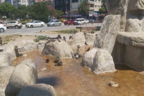 Kırklareli’nde sıcak hava etkili oluyor