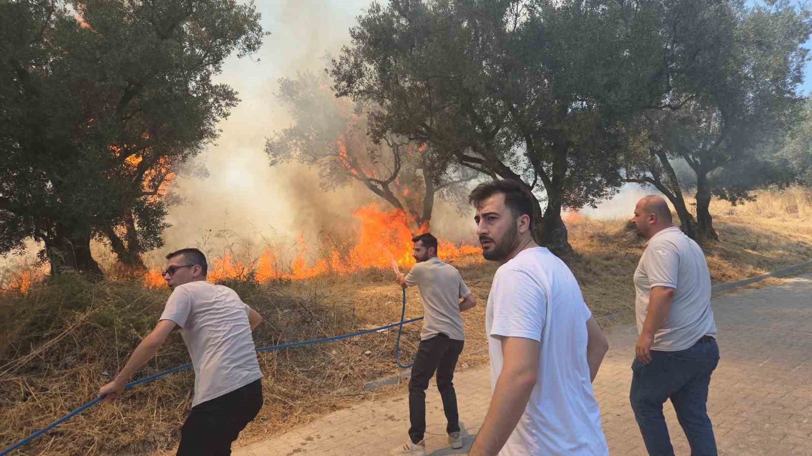 Bursa’da 20 zeytin ağacı yandı: 2 çocuk gözaltında