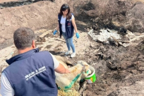 Bilecik’te acı bilanço ortaya çıktı