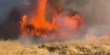 Yalova’da tarlada çıkan yangında yüzlerce saman balyası kül oldu