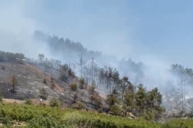 İznik’te orman yangını kontrol altına alındı