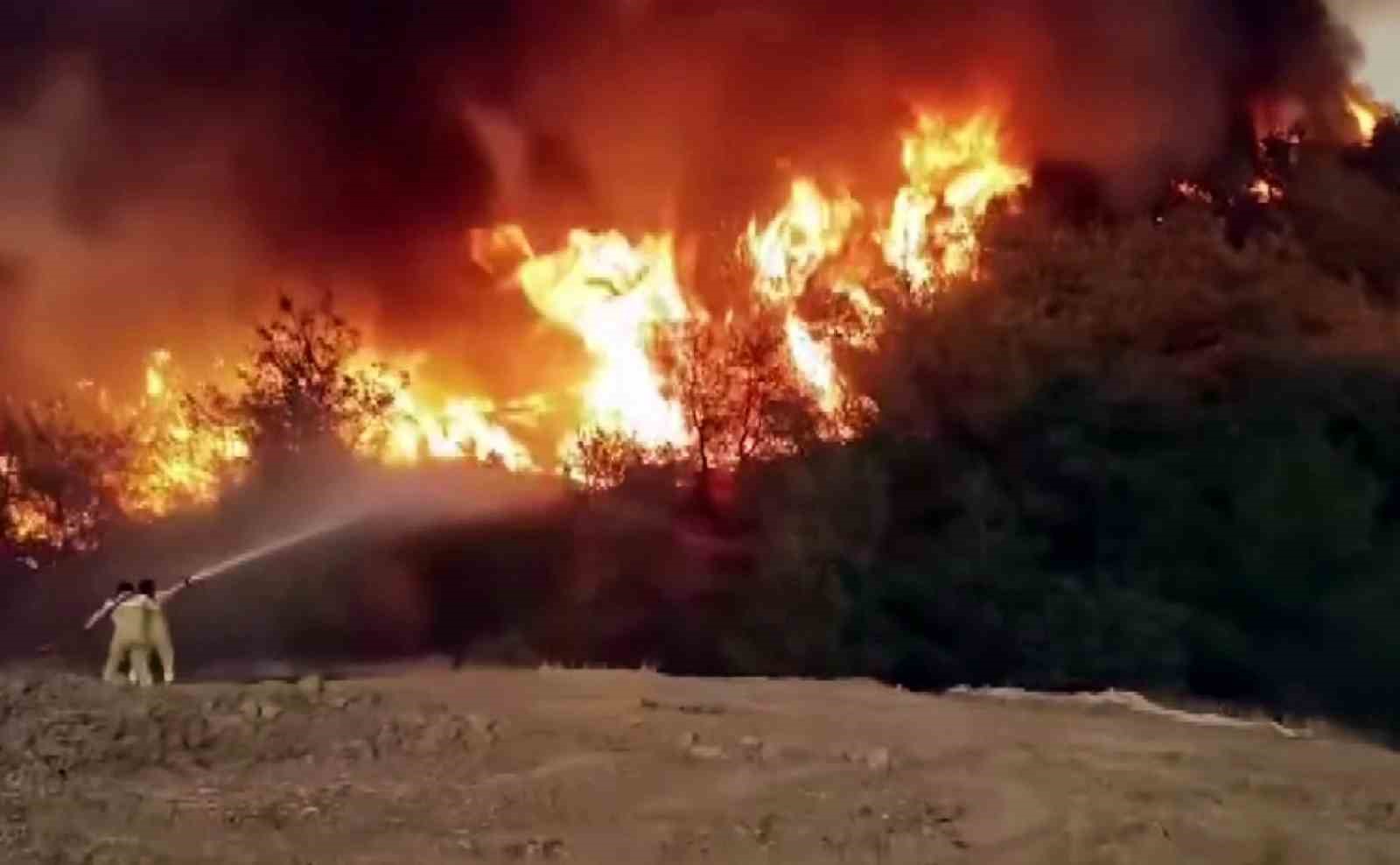 Orman yangınında nefes kesen görüntüler: Alevlerin içindeki direniş böyle görüntülendi