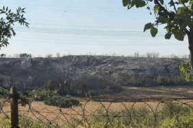 Başakşehir’de çalılık alanda yangın