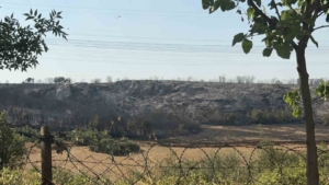 Başakşehir’de çalılık alanda yangın