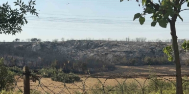 Başakşehir’de çalılık alanda yangın