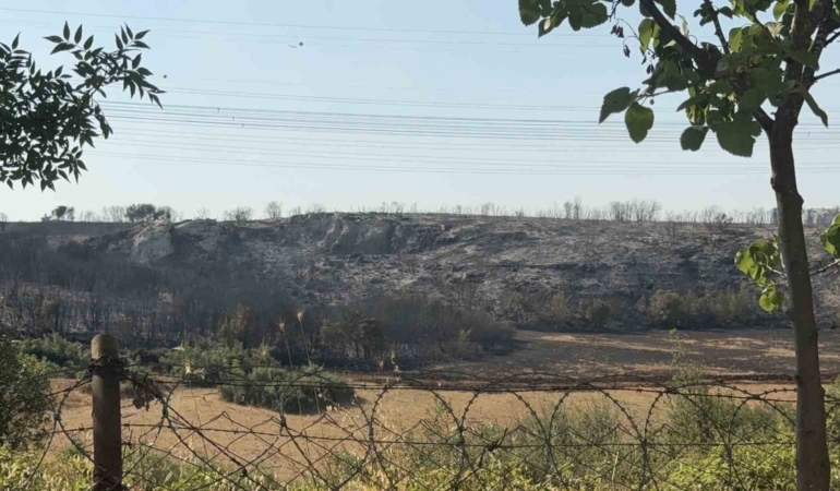 Başakşehir’de çalılık alanda yangın