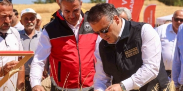 Bilecik’te bu yıl 75 bin 104 ton buğday hasadı yapılacak