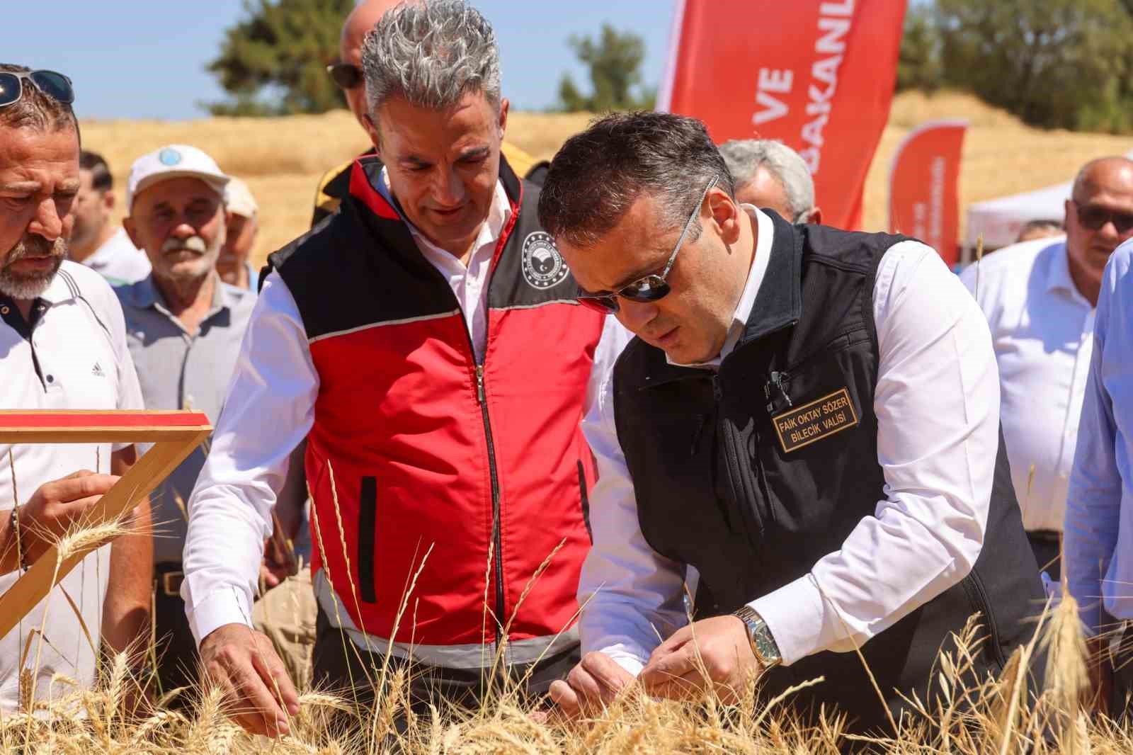 Bilecik’te bu yıl 75 bin 104 ton buğday hasadı yapılacak