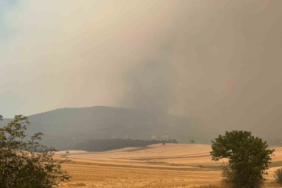 Bilecik’te orman yangını kısmen kontrol alındı