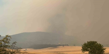 Bilecik’te orman yangını kısmen kontrol alındı