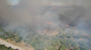 Silivri’deki orman yangınını söndürme çalışmaları sürüyor