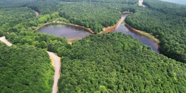 Yalova’da ormanlara girişler yasaklandı
