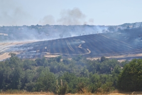 Malkara’da anız yangını 200 dönümlük arazide tahribata yol açtı