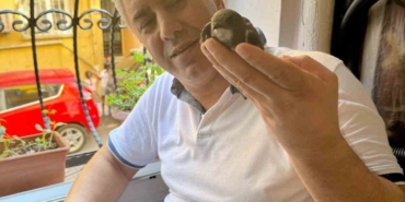 Beyoğlu’nda 6 yıl önce tedavisini yaptığı ebabil kuşu yeniden penceresine kondu