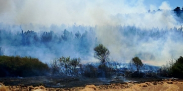 Edirne’deki orman ve anız yangını kontrol altına alındı
