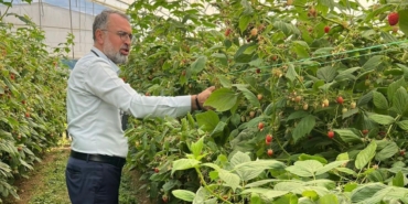 Uludağ’dan Sırbistan’a ahududu üretiminde uluslararası işbirliği adımı