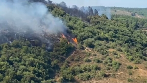 Sultangazi Kent Ormanı’ndan alevler yükseldi