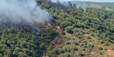 Sultangazi Kent Ormanı’ndan alevler yükseldi