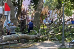Üzerine ağaç dalı düşen genç kız hayatını kaybetti