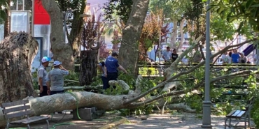 Üzerine ağaç dalı düşen genç kız hayatını kaybetti