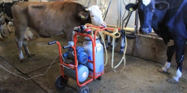 TÜSEDAD, sıcak süt tavsiye fiyatının 21 lira olmasını istedi