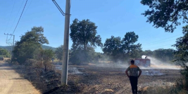 Bilecik’te ormanlık alana sıçrayan yangına müdahale ediliyor