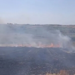 Arnavutköy’de tarla yangını