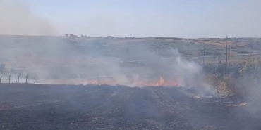 Arnavutköy’de tarla yangını