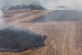 Bilecik’te tarım arazisinde çıkan yangın söndürüldü