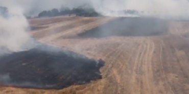 Bilecik’te tarım arazisinde çıkan yangın söndürüldü