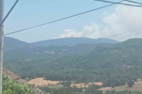 Bursa’da orman yangını: Havadan ve karadan müdahale ediliyor