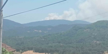 Bursa’da orman yangını: Havadan ve karadan müdahale ediliyor
