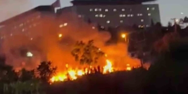 Darıca Millet Bahçesi’nde çıkan yangın söndürüldü